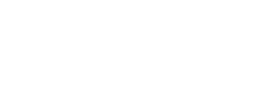 logo lazzeroni